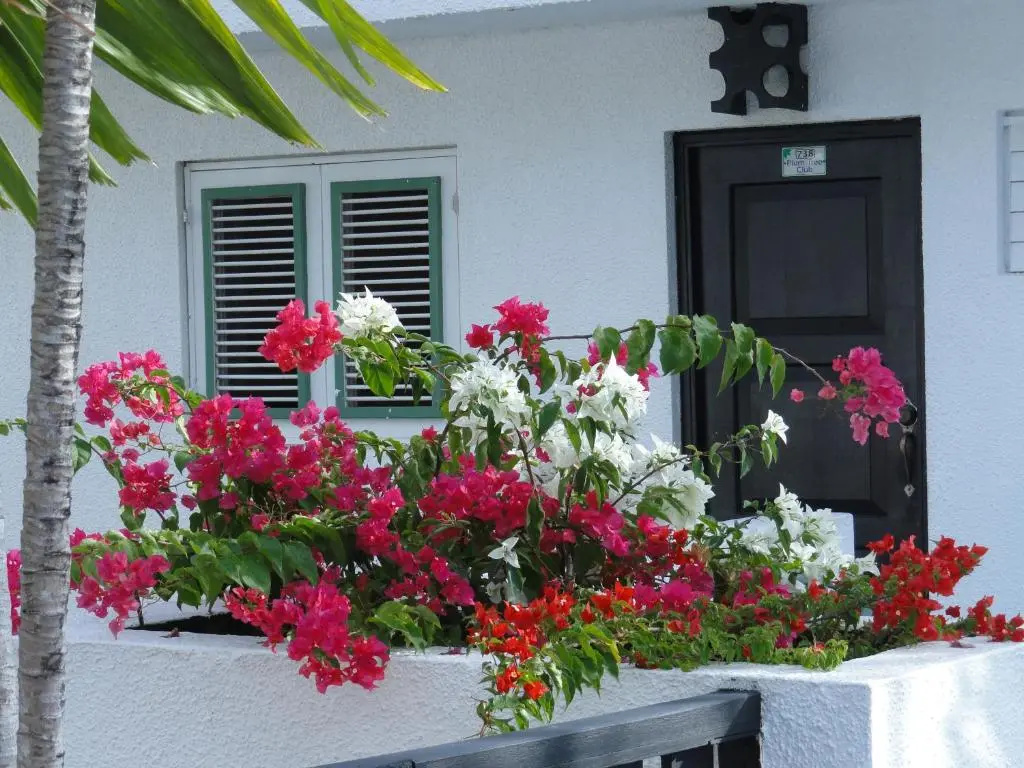 Plum Tree Club - Chambres
