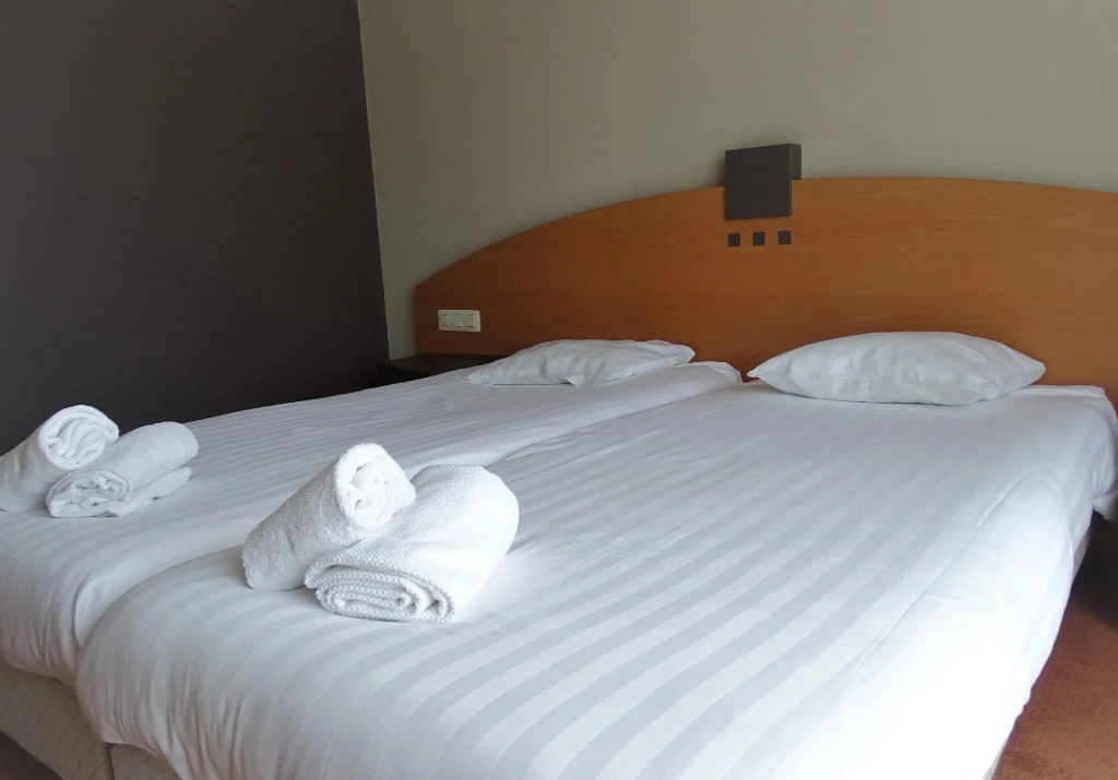 Economy Double room (twin beds)