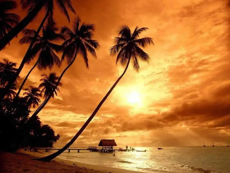 Beach & Waterfront