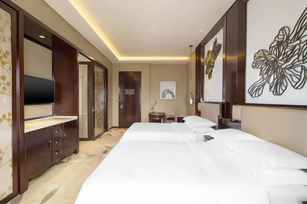 Deluxe Double room with city view (twin beds)