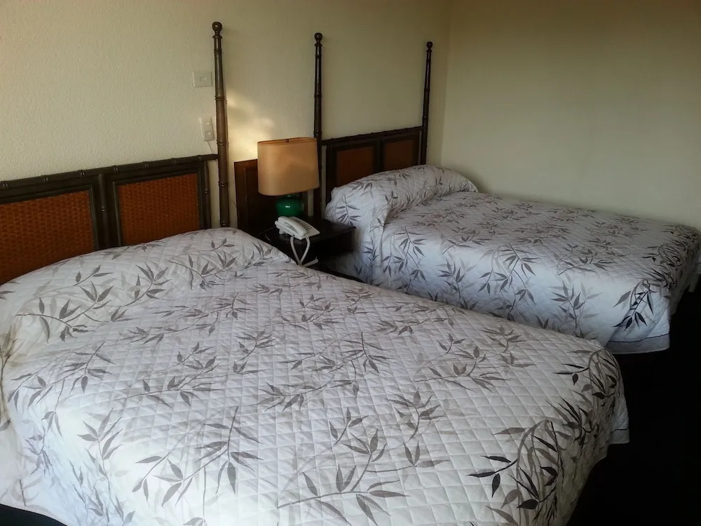 Hotel Las Palmas - Chambres