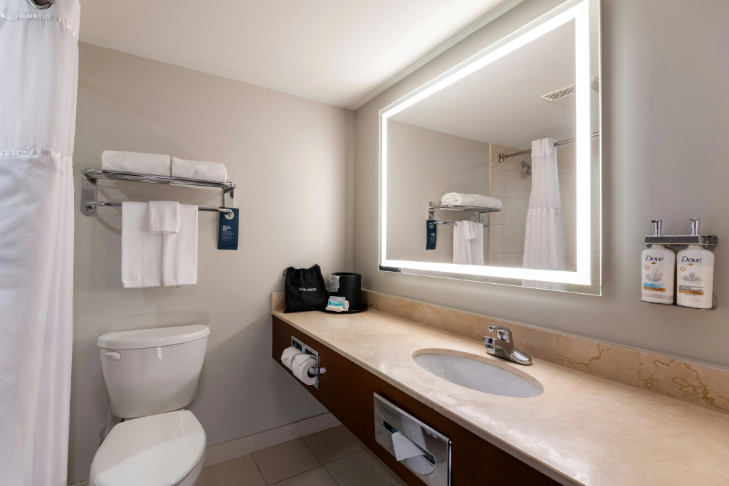 Holiday Inn Hotel & Suites London by IHG - Général