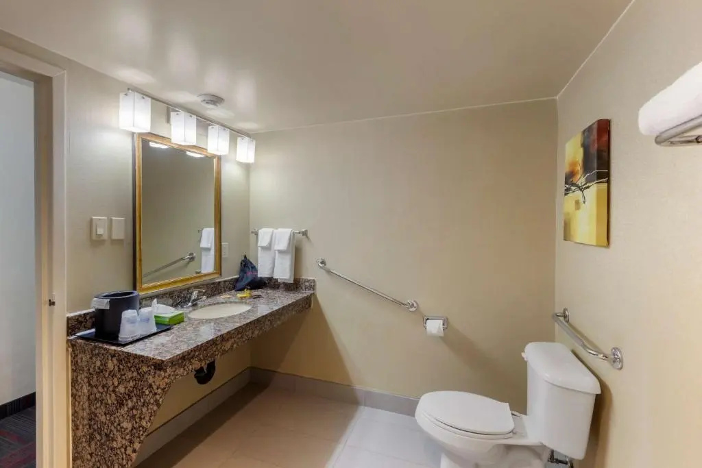 Best Western Plus Toronto Airport Hotel - Chambres