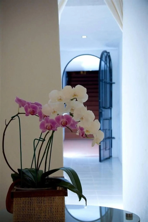 Colibrí Hotel - Général