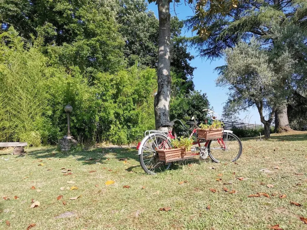 Poggio Bassotto, Your Peaceful Retreat Near the Heart of Rome