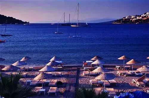 Beach & Waterfront