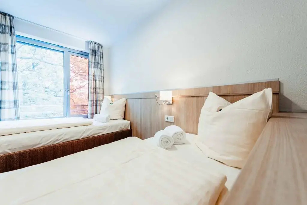 Standard Double room (full double bed)