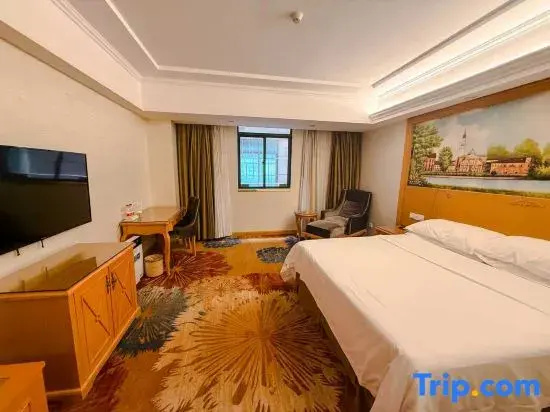 Vienna Hotel Guangzhou Chimelong Dashi Metro Station - Chambres
