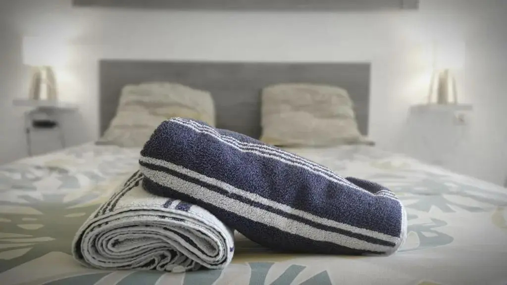 Voir la photo 2 — Studio Les pieds dans l'eau Résidence Archipel et Savanne