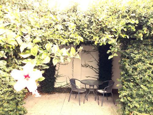 gallery_image_hidden_26