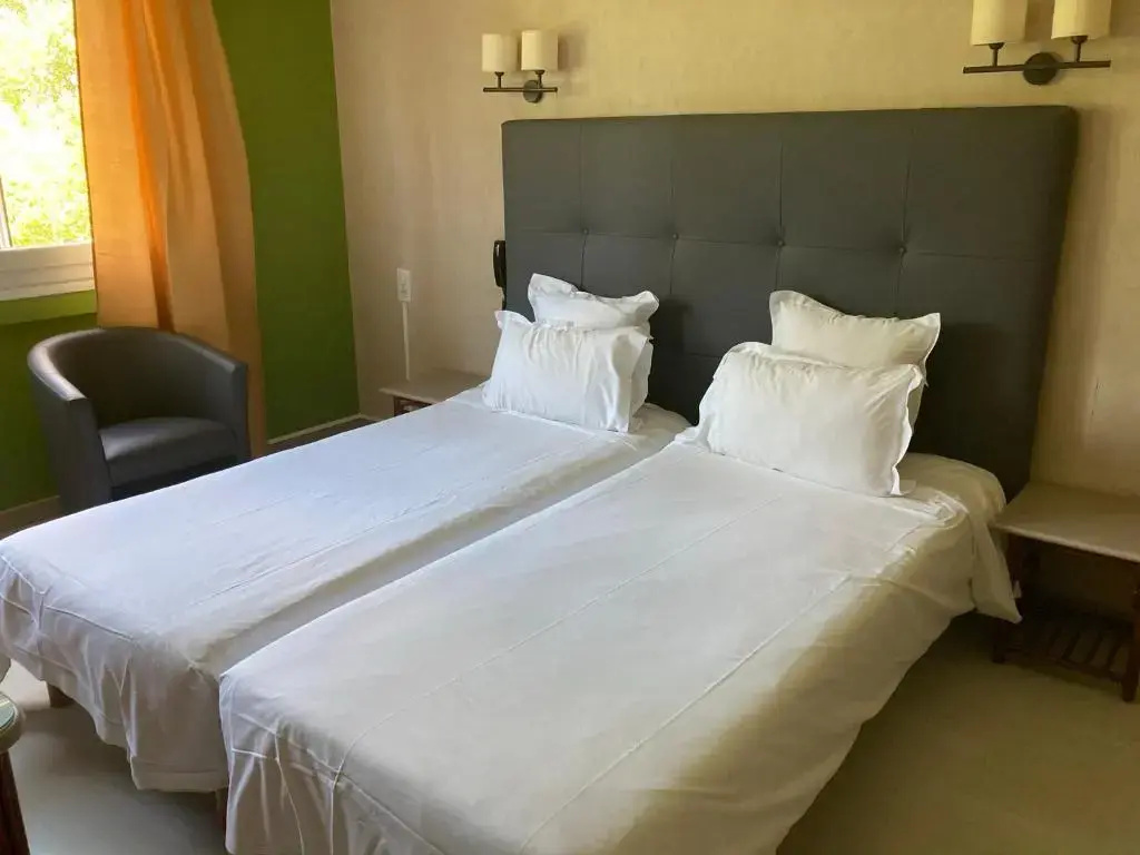 Standard Double room (twin beds)