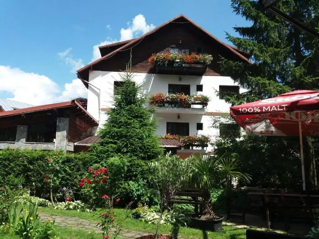 Pensiunea Liziera - фото 8