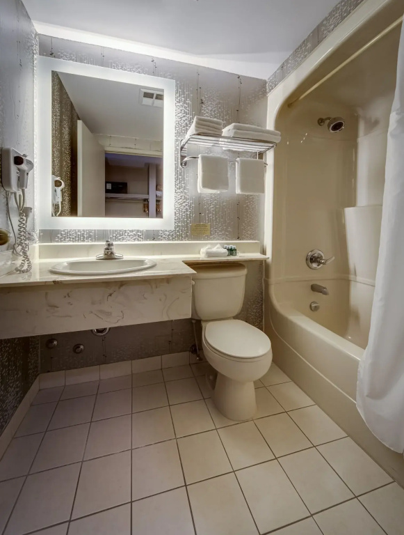 Monte Carlo Inn Toronto - Markham - Général