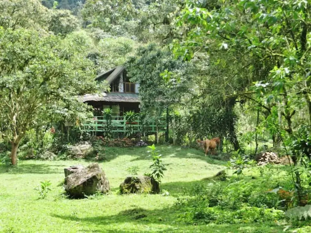 Mindo Eco Chalet
