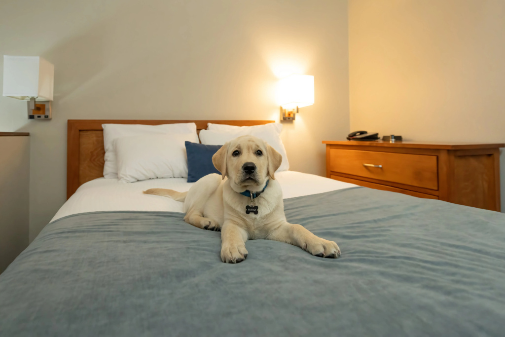 Whistler Village Inn And Suites - Général