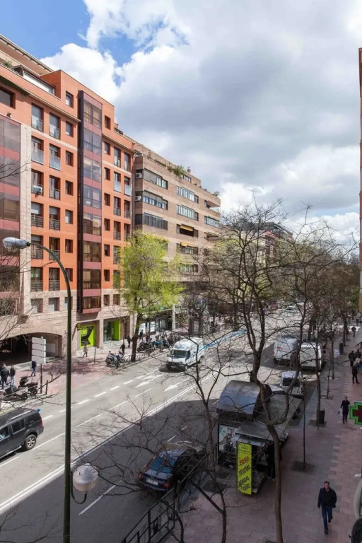 Alto Standing Calle Velázquez 2A
