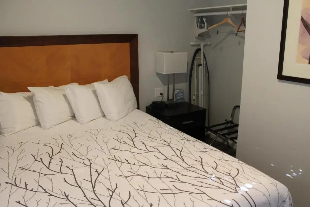 Double Suite (full double bed)