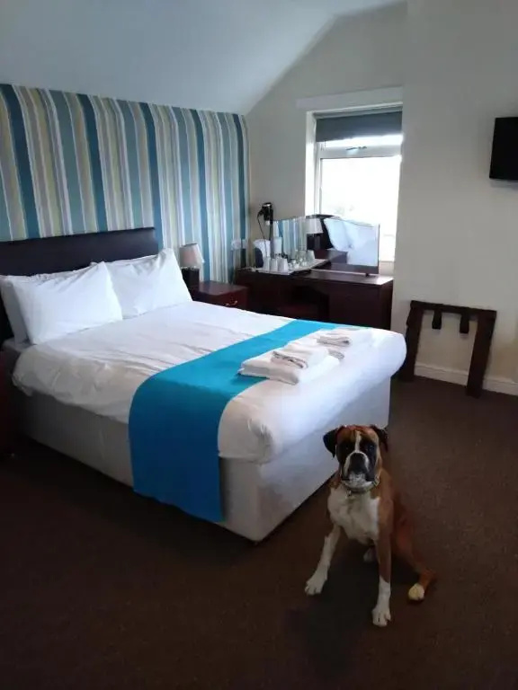 Hillmorton Manor Hotel - Chambres