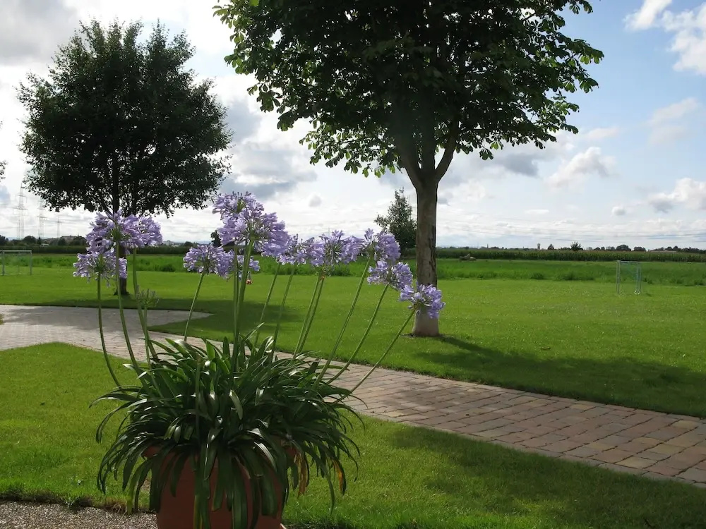 Serviced Apartments Kurpfalzhof - Général