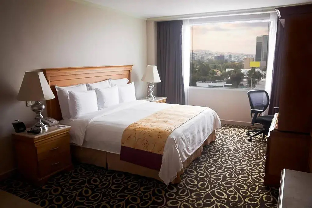 Deluxe Guest Double room with city view (full double bed)