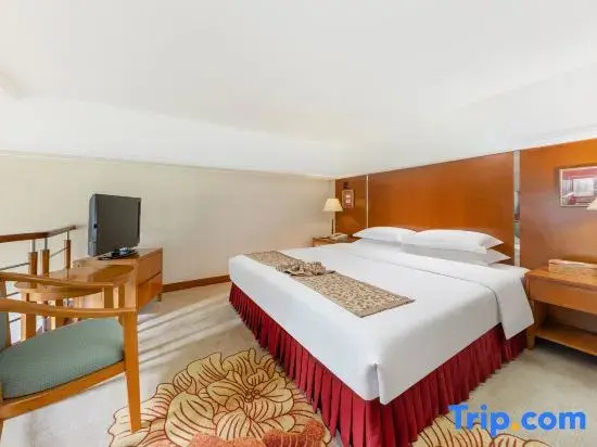 Standard Double Duplex room (full double bed)