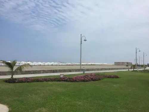 La Casa del Jota
