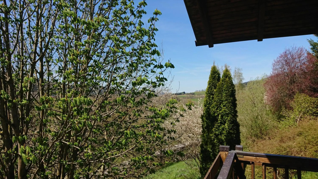Hotel photo 31