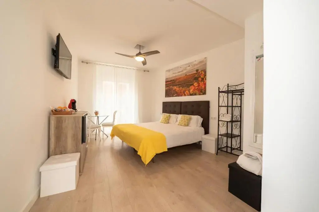 Deluxe Double room (full double bed)