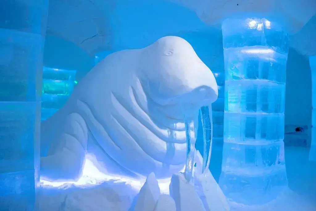 Sorrisniva Igloo Hotel - Chambres