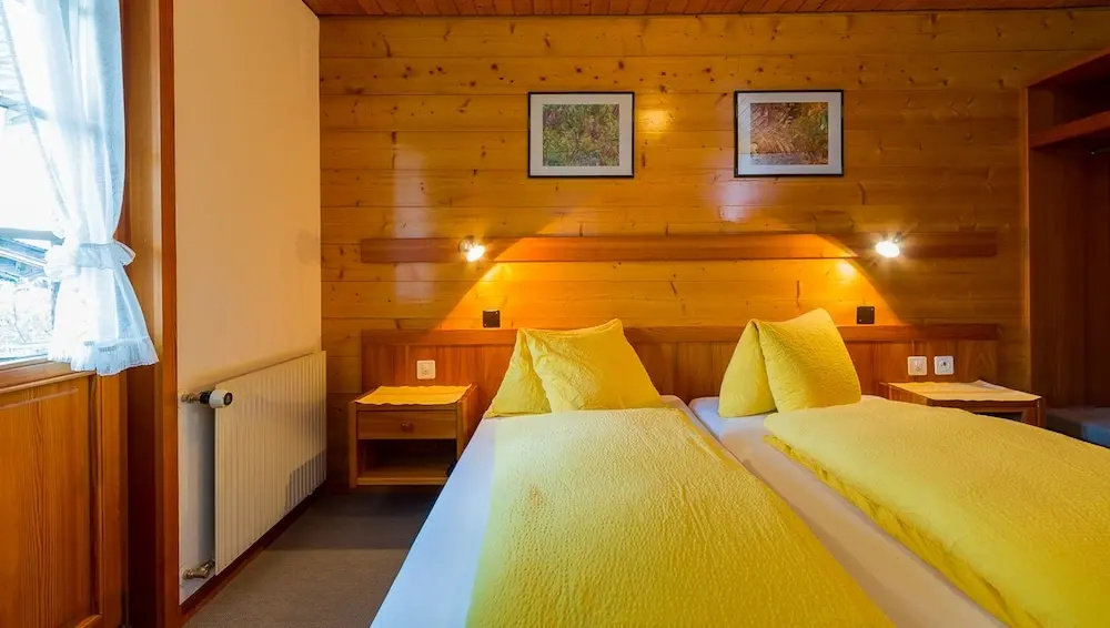Economy Double room (twin beds)