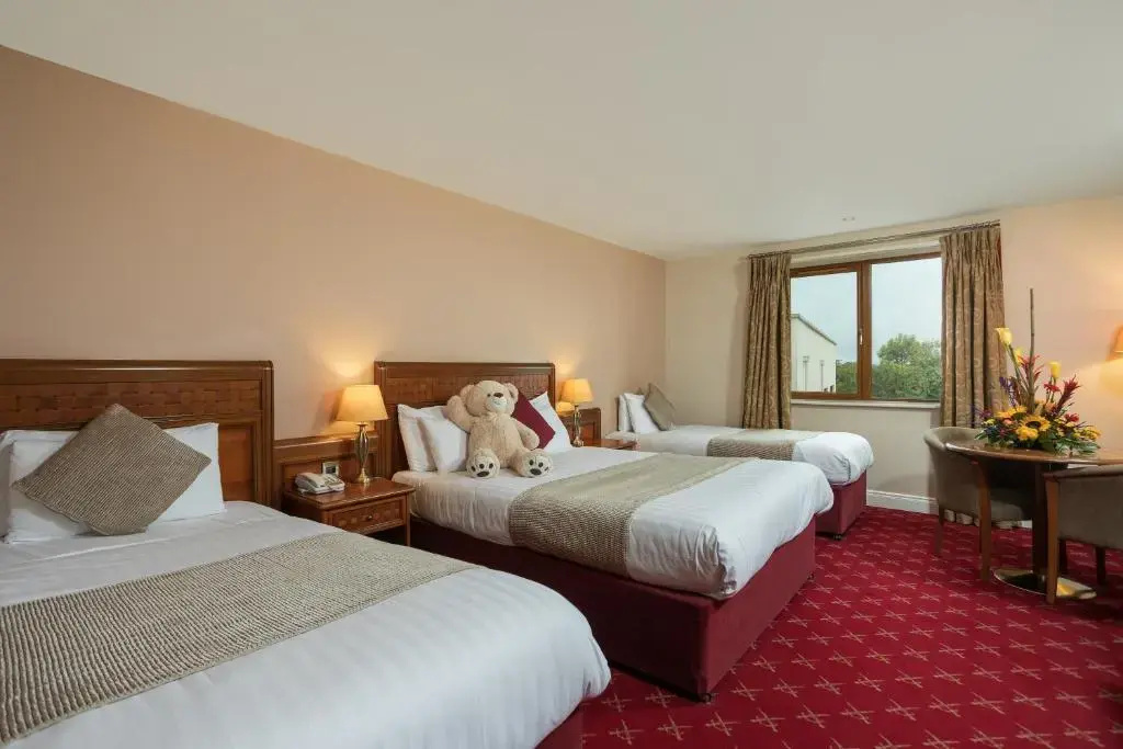 The McWilliam Park Hotel Mayo - Chambres