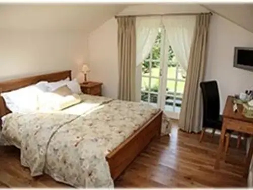 Standard Double Basement room (full double bed)