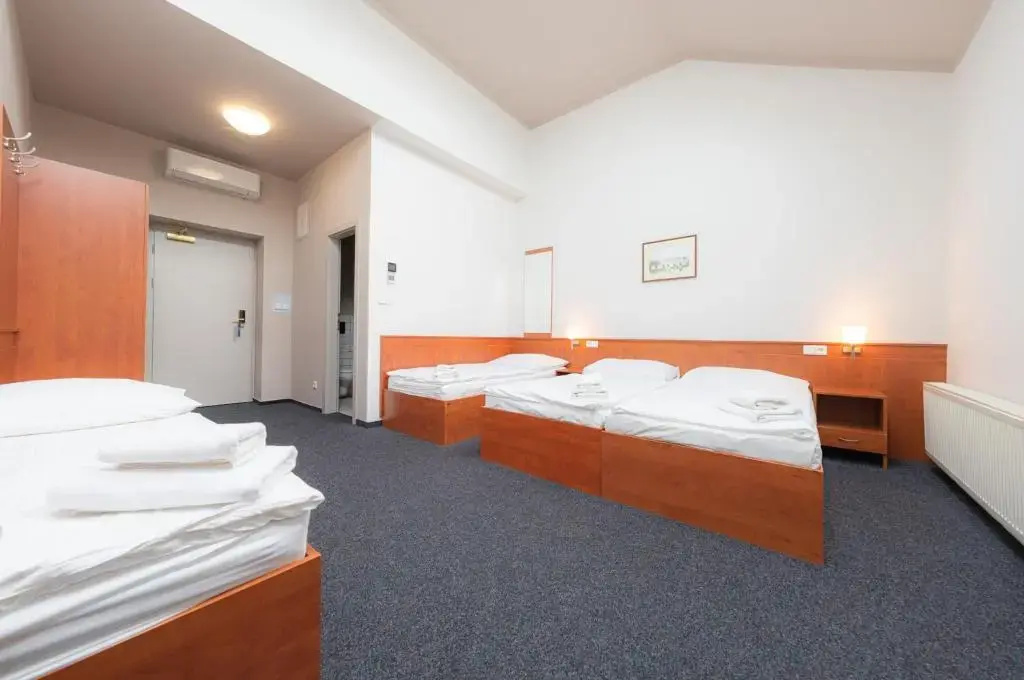 Hotel Beranek Prague - Chambres