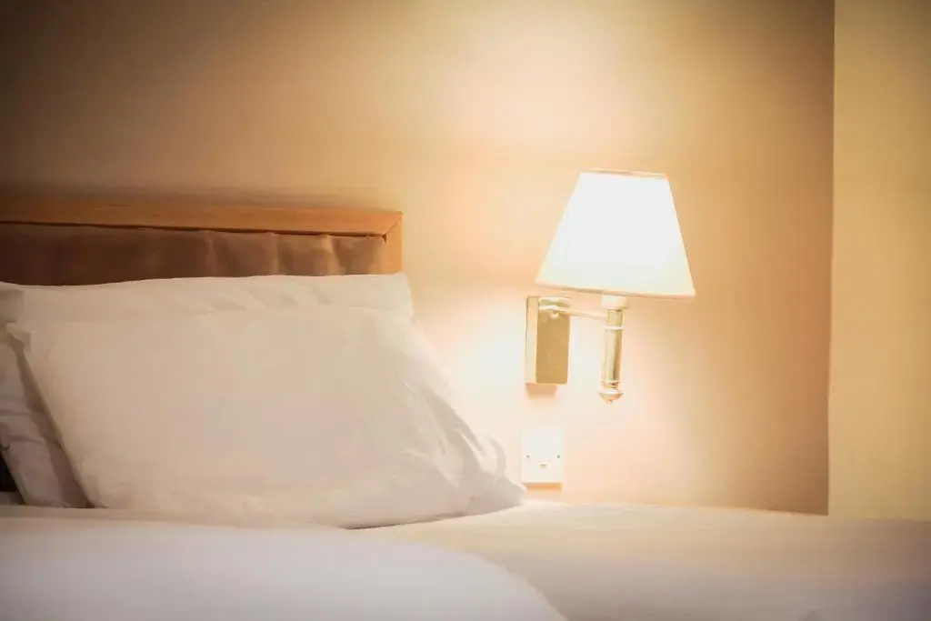 Standard Double room with canal view (full double bed)