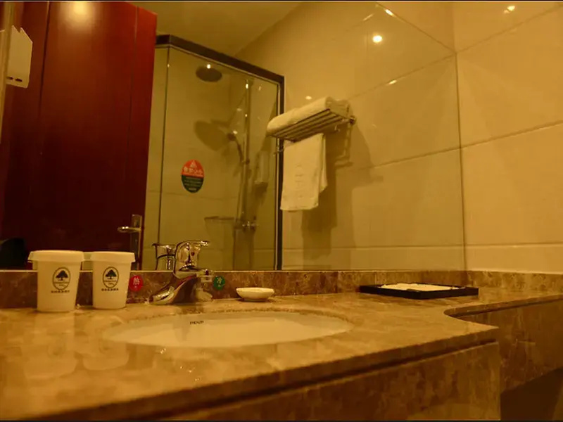GreenTree Inn Anhui Fuyang Funan East Huaihe Road Express Hotel - Chambres