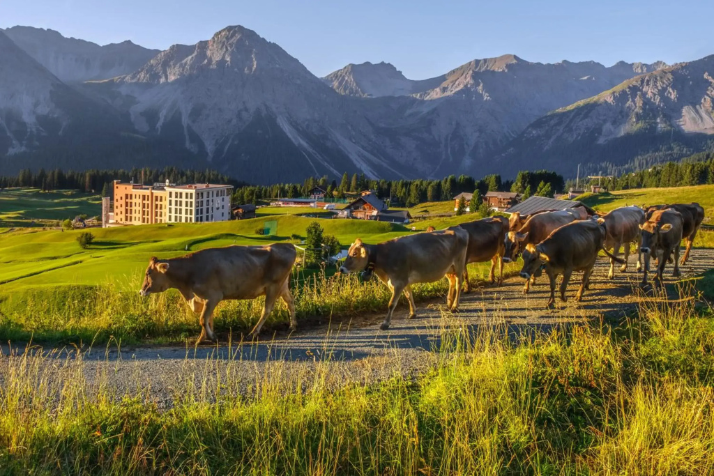 Golf- & Sporthotel Hof Maran - Général