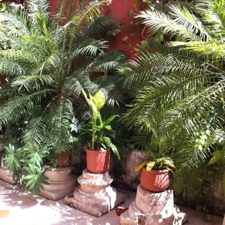 Hotel photo 47