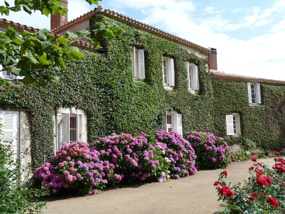 Voir la photo 1 — Le Manoir du Verger