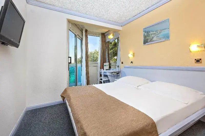 Standard Double room with balcony and with park view (full double bed)