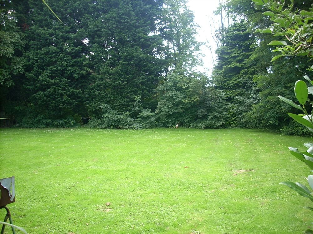 Image 18