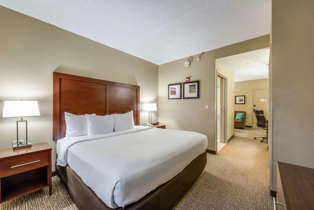 Comfort Suites Chicago O'Hare Airport - Général