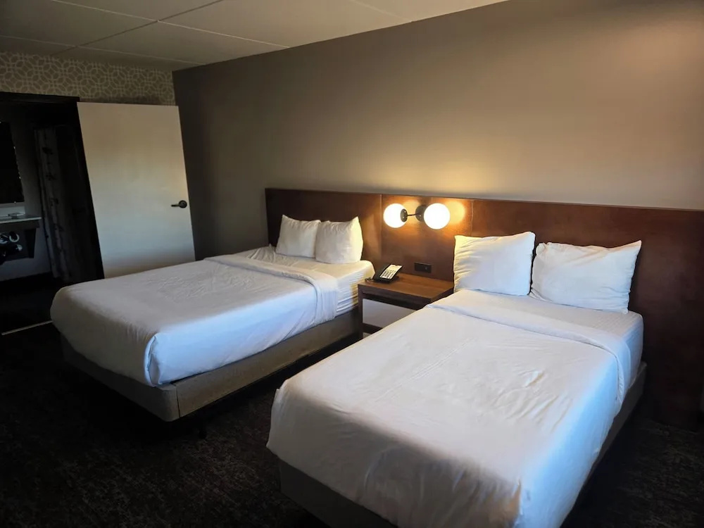 Standard Double room (twin beds)