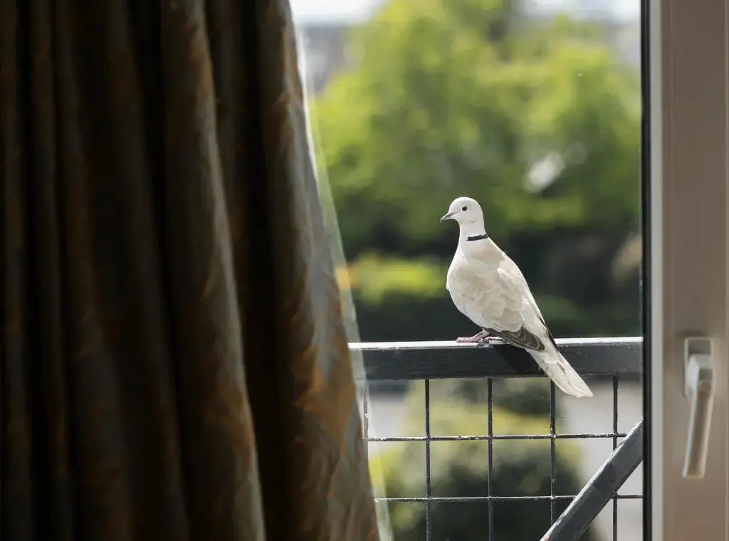 Hylands Burren Hotel - Chambres