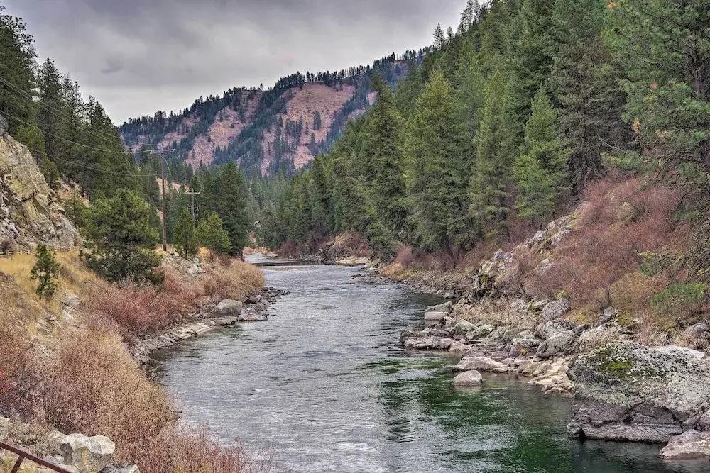 Private Cabin, 5-min Drive to Hot Springs & Golf!