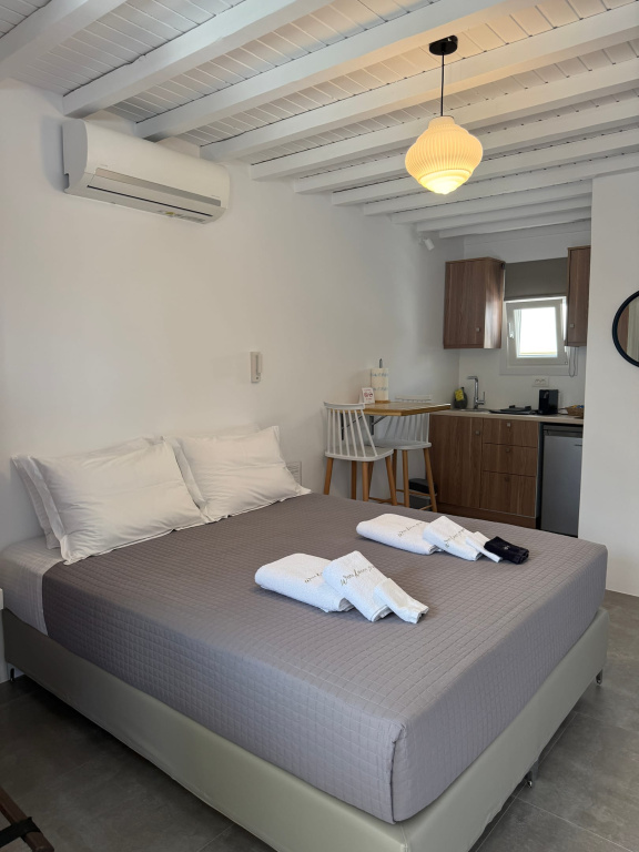 Standard Apartment