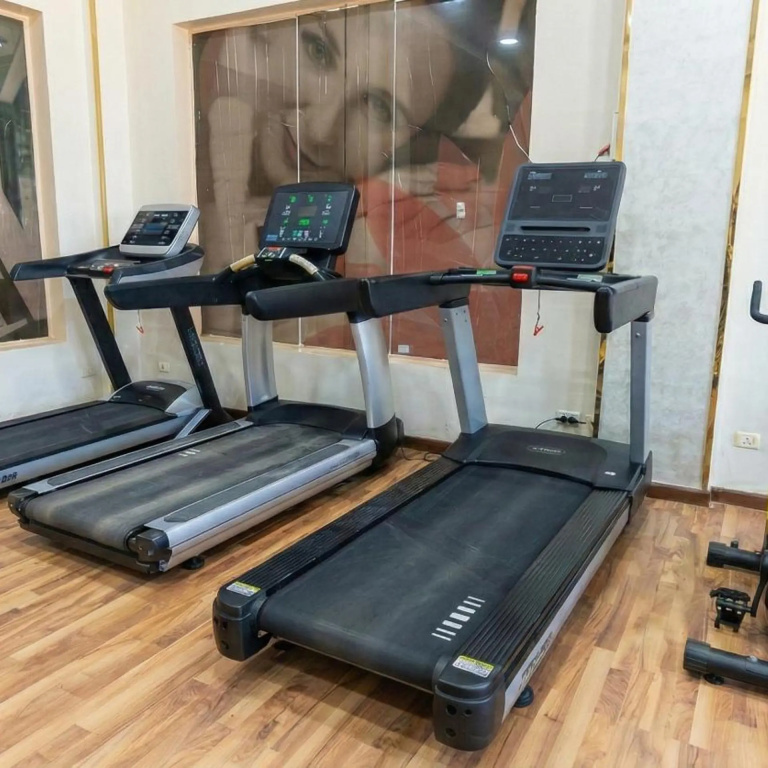 Romance Regency Club Adult Only (+16) - Ultra All Inclusive: Indoor gym with several treadmills and a wood-look floor.