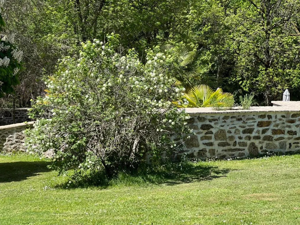Domaine de Brise Bois - Chambres & Gîtes