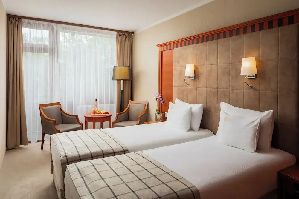 Standard Double room with mountain view (full double bed)