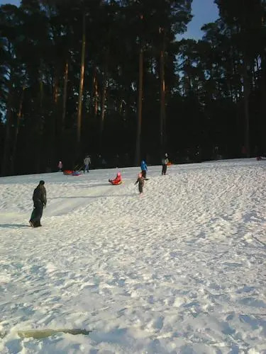 Motilda - фото 22