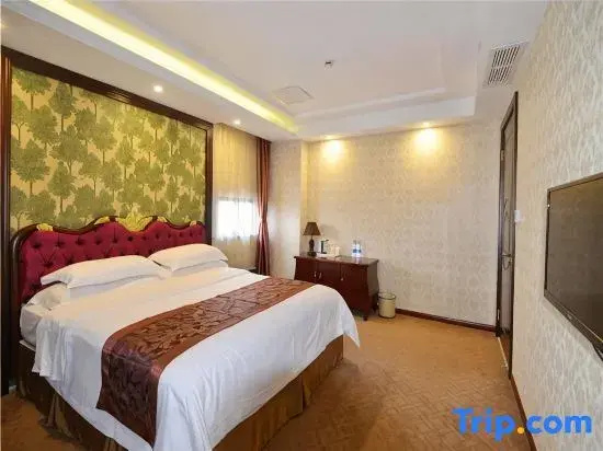 Vienna Hotel Shanghai Pudong Airport Chuansha Branch - Chambres